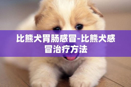 比熊犬胃腸感冒-比熊犬感冒治療方法