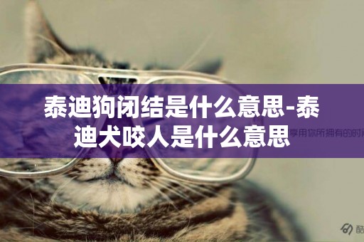 泰迪狗閉結是什么意思-泰迪犬咬人是什么意思