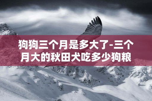 狗狗三個月是多大了-三個月大的秋田犬吃多少狗糧