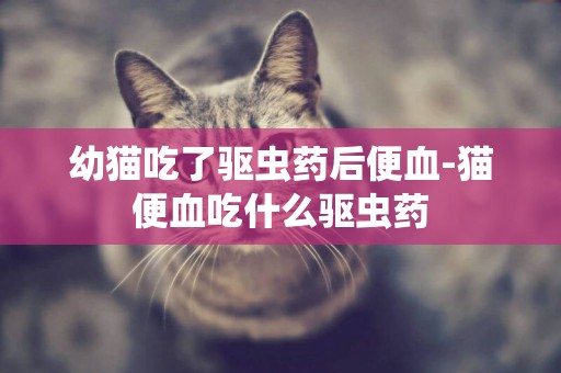 幼貓吃了驅蟲藥后便血-貓便血吃什么驅蟲藥