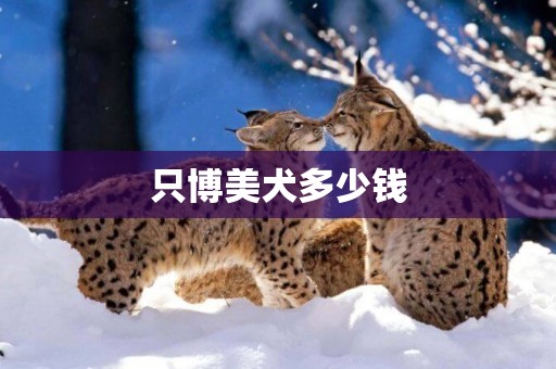 只博美犬多少錢