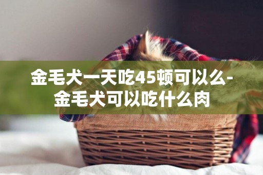 金毛犬一天吃45頓可以么-金毛犬可以吃什么肉