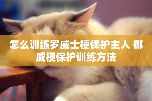 怎么訓練羅威士梗保護主人 挪威梗保護訓練方法