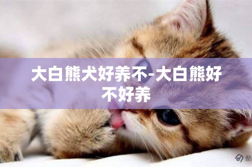 大白熊犬好養不-大白熊好不好養