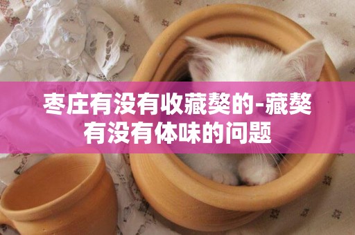 棗莊有沒有收藏獒的-藏獒有沒有體味的問題