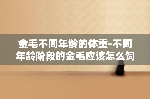 金毛不同年齡的體重-不同年齡階段的金毛應該怎么飼養