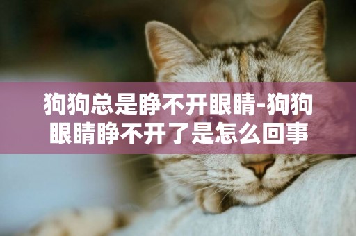 狗狗總是睜不開眼睛-狗狗眼睛睜不開了是怎么回事