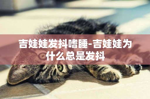 吉娃娃發抖嗜睡-吉娃娃為什么總是發抖