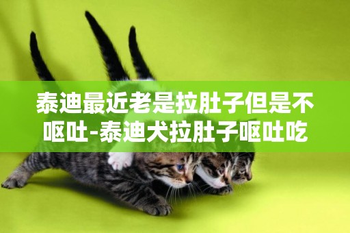 泰迪最近老是拉肚子但是不嘔吐-泰迪犬拉肚子嘔吐吃什么藥