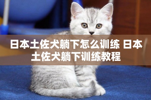 日本土佐犬躺下怎么訓練 日本土佐犬躺下訓練教程