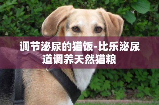 調節泌尿的貓飯-比樂泌尿道調養天然貓糧