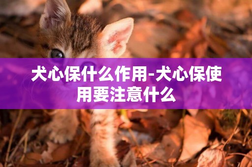 犬心保什么作用-犬心保使用要注意什么
