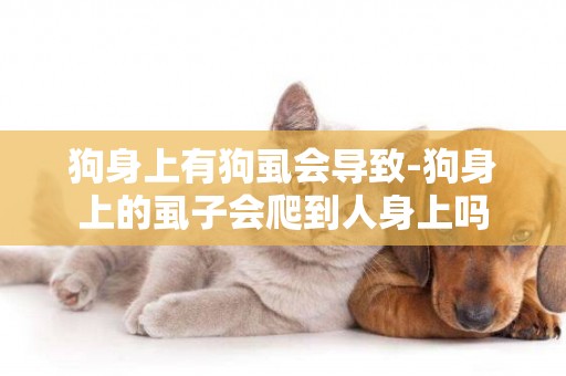 狗身上有狗虱會導致-狗身上的虱子會爬到人身上嗎