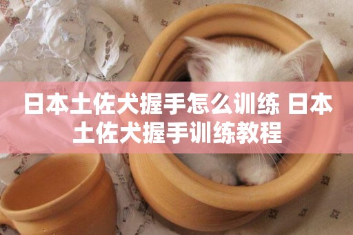日本土佐犬握手怎么訓練 日本土佐犬握手訓練教程