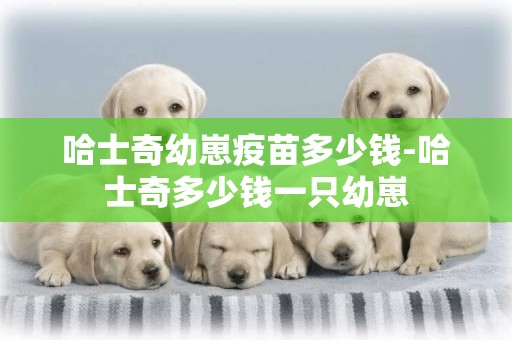 哈士奇幼崽疫苗多少錢-哈士奇多少錢一只幼崽