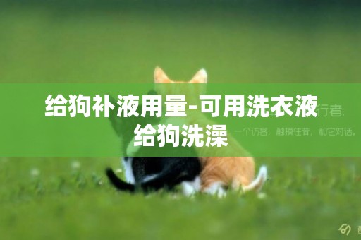 給狗補液用量-可用洗衣液給狗洗澡