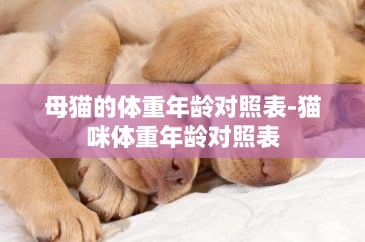 母貓的體重年齡對照表-貓咪體重年齡對照表
