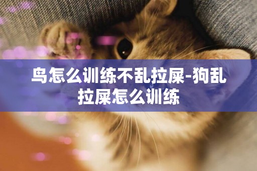 鳥怎么訓練不亂拉屎-狗亂拉屎怎么訓練