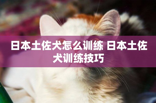 日本土佐犬怎么訓練 日本土佐犬訓練技巧