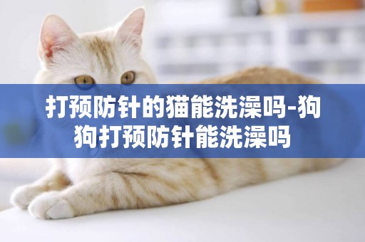 打預防針的貓能洗澡嗎-狗狗打預防針能洗澡嗎