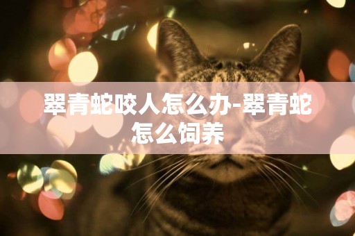 翠青蛇咬人怎么辦-翠青蛇怎么飼養