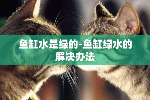 魚缸水是綠的-魚缸綠水的解決辦法