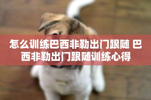 怎么訓練巴西非勒出門跟隨 巴西非勒出門跟隨訓練心得