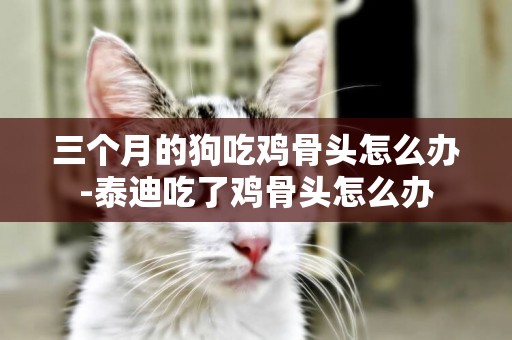 三個月的狗吃雞骨頭怎么辦-泰迪吃了雞骨頭怎么辦