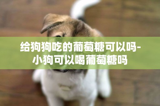 給狗狗吃的葡萄糖可以嗎-小狗可以喝葡萄糖嗎