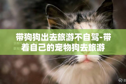 帶狗狗出去旅游不自駕-帶著自己的寵物狗去旅游