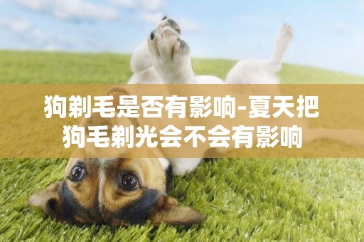 狗剃毛是否有影響-夏天把狗毛剃光會不會有影響