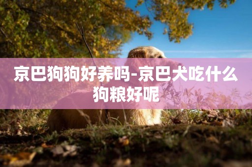 京巴狗狗好養嗎-京巴犬吃什么狗糧好呢