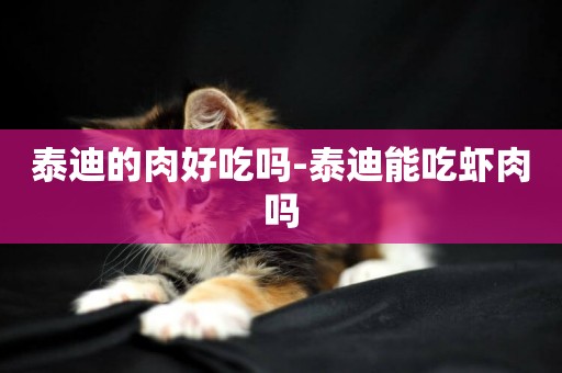 泰迪的肉好吃嗎-泰迪能吃蝦肉嗎