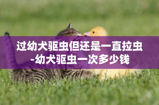 過幼犬驅蟲但還是一直拉蟲-幼犬驅蟲一次多少錢
