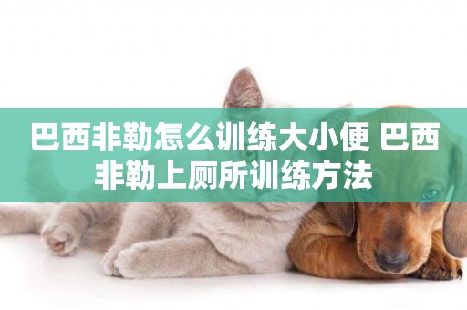 巴西非勒怎么訓練大小便 巴西非勒上廁所訓練方法
