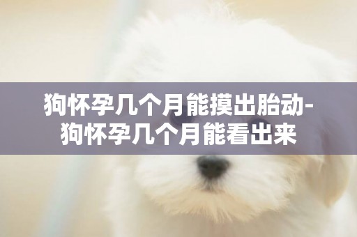 狗懷孕幾個月能摸出胎動-狗懷孕幾個月能看出來