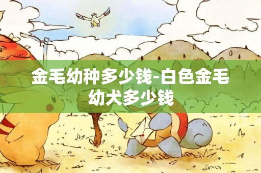 金毛幼種多少錢-白色金毛幼犬多少錢