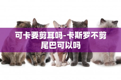 可卡要剪耳嗎-卡斯羅不剪尾巴可以嗎