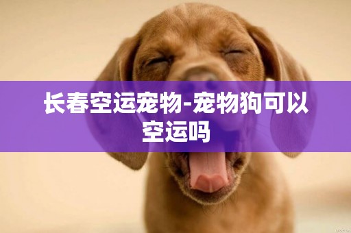 長春空運寵物-寵物狗可以空運嗎