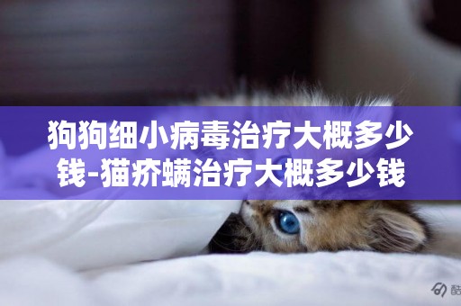 狗狗細小病毒治療大概多少錢-貓疥螨治療大概多少錢