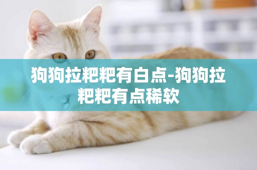 狗狗拉粑粑有白點-狗狗拉粑粑有點稀軟
