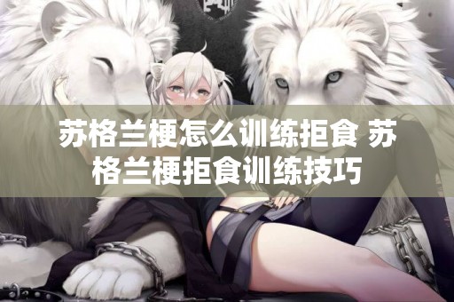 蘇格蘭梗怎么訓練拒食 蘇格蘭梗拒食訓練技巧