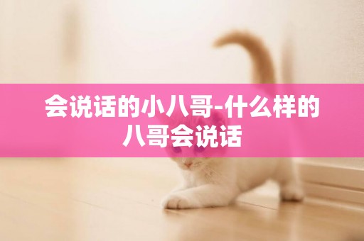 會說話的小八哥-什么樣的八哥會說話