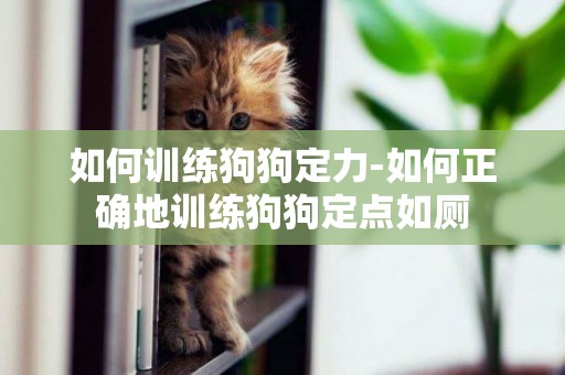 如何訓練狗狗定力-如何正確地訓練狗狗定點如廁