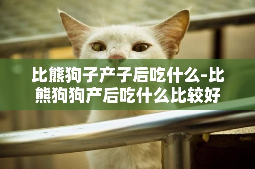 比熊狗子產子后吃什么-比熊狗狗產后吃什么比較好