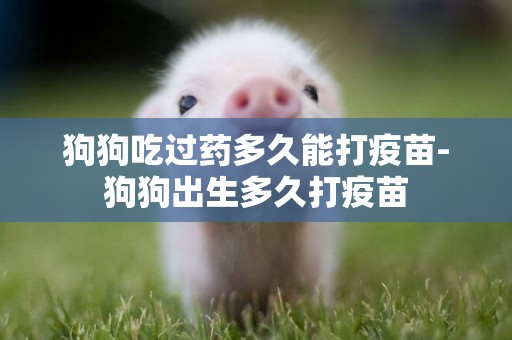 狗狗吃過藥多久能打疫苗-狗狗出生多久打疫苗