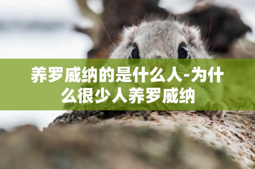 養羅威納的是什么人-為什么很少人養羅威納