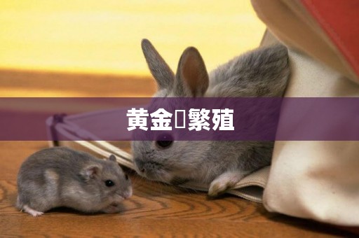 黃金鳉繁殖