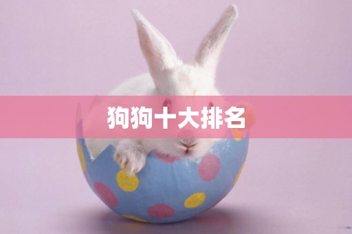 狗狗十大排名