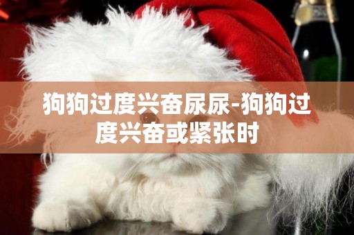 狗狗過度興奮尿尿-狗狗過度興奮或緊張時